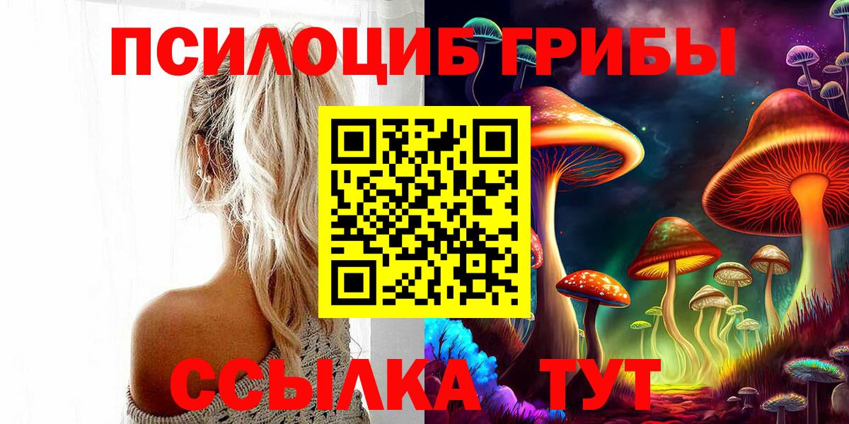 APVP Ленинск-Кузнецкий