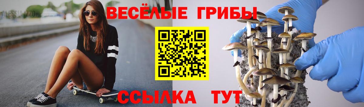 Ленинск-Кузнецкий  Псилоцибиновые грибы MAGIC MUSHROOMS  Вход с VPN 